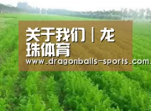 种植基地四
