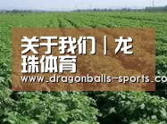 种植基地五(图1)