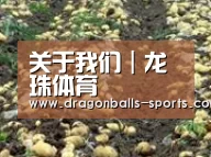 种植基地七