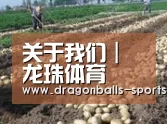 种植基地八