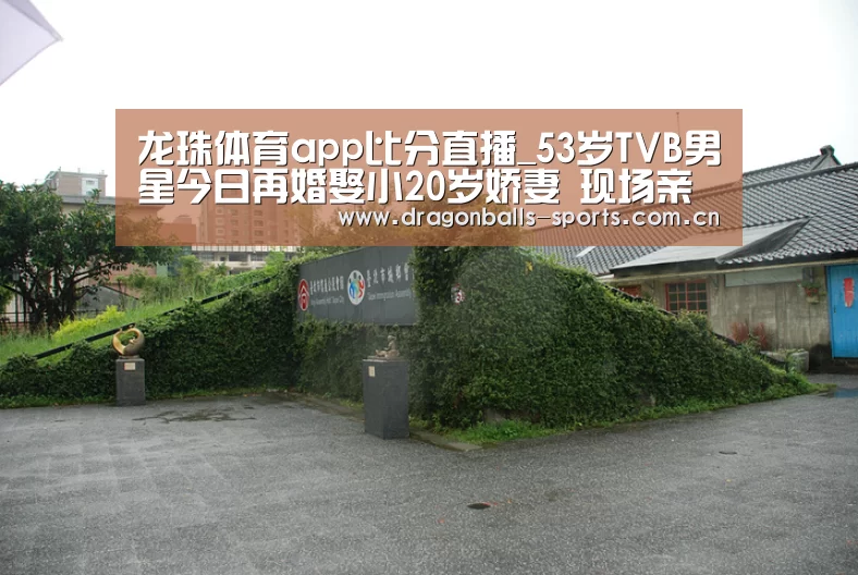  实时比分