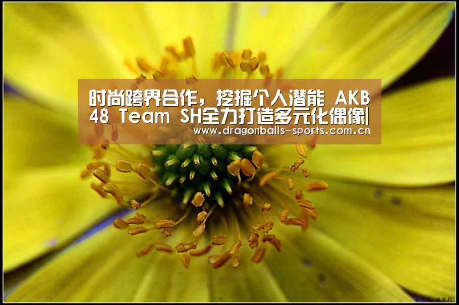 时尚跨界合作,挖掘个人潜能 AKB48 Team SH全力打造多元化偶像| 赛事数据直播(图4) 赛事数据直播