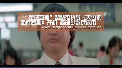 龙珠体育app比分直播